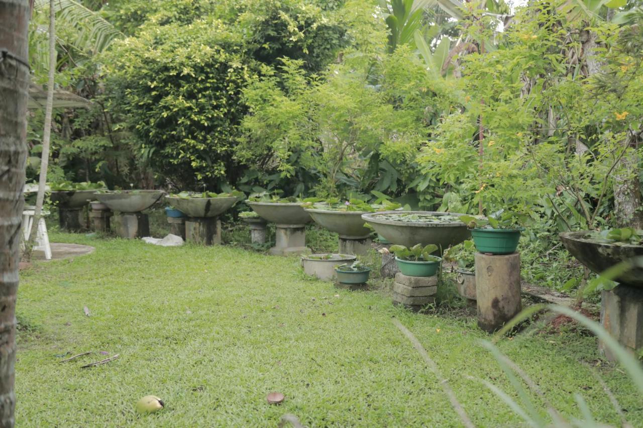 Kirala Villa Mihiripenne Bagian luar foto